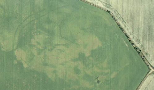 Mehltheuer, Kreis Riesa-Großenhain. Doppelte Grabenanlage. Digitales Orthobild Mehltheuer, Kreis Riesa-Großenhain. Doppelte Grabenanlage. Digitales Orthobild