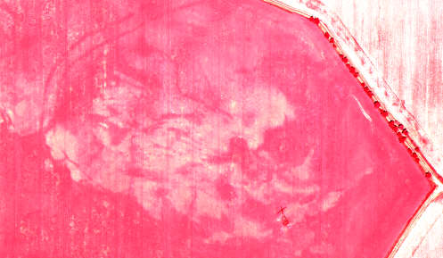 Mehltheuer, Kreis Riesa-Großenhain. Doppelte Grabenanlage. Colorinfrarotbild mit verstärkten Kontrasten Mehltheuer, Kreis Riesa-Großenhain. Doppelte Grabenanlage. Colorinfrarotbild mit verstärkten Kontrasten