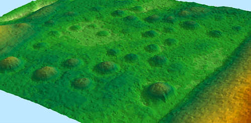 Rosenfeld, Kreis Torgau-Oschatz. Bronzezeitliche Hügelgräber. Airborne Laserscanning. Last Pulse-Daten als Geländemodell Rosenfeld, Kreis Torgau-Oschatz. Bronzezeitliche Hügelgräber. Airborne Laserscanning. Last Pulse-Daten als Geländemodell