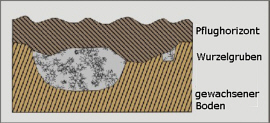 Grafik Ackerfläche 3