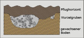 Grafik Ackerfläche 3