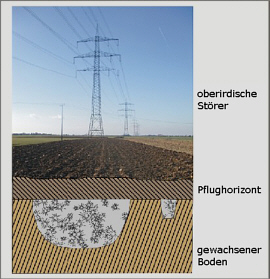 Grafik Ackerfläche 7