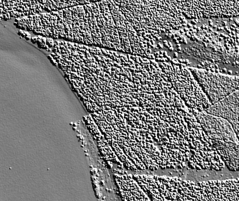 Rosenfeld, Kreis Torgau-Oschatz. Bronzezeitliche Hügelgräber. Airborne Laserscanning. Im First Pulse-Mode sind Bewuchs und aktuelle Bebauung sichtbar