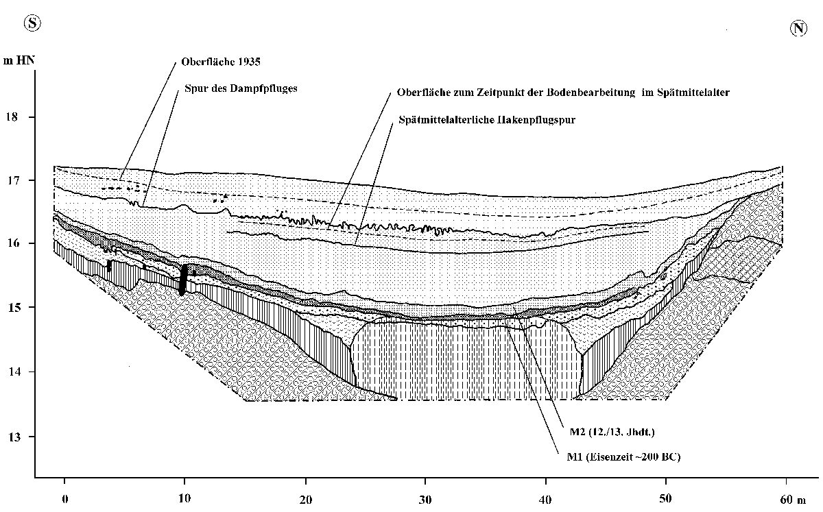 Profilschnitt 1